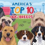 Top 10 Most Popular Dog Breeds in America